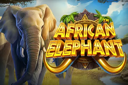 African Elephant